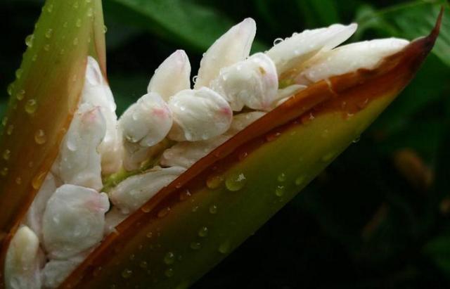 做人要懂留一手，莫將青春餵了狗