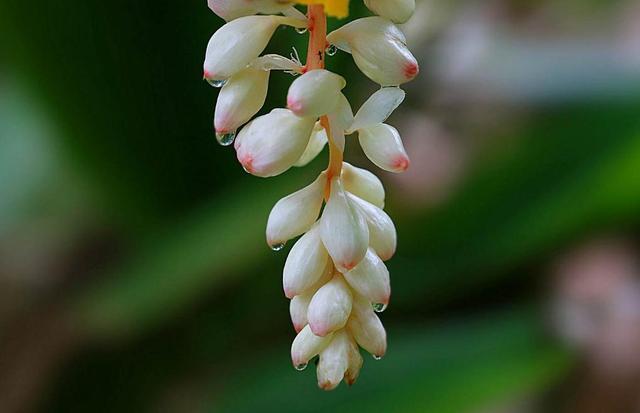 做人要懂留一手，莫將青春餵了狗