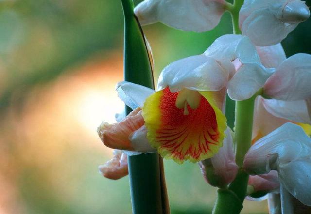 做人要懂留一手，莫將青春餵了狗