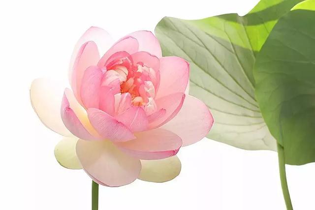 一生何求？ （好文）