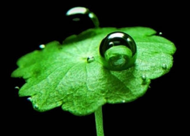 天狂有雨，人狂有禍，做人低調沒有錯