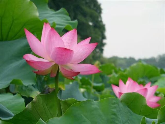 抬頭是進取，低頭是智慧！