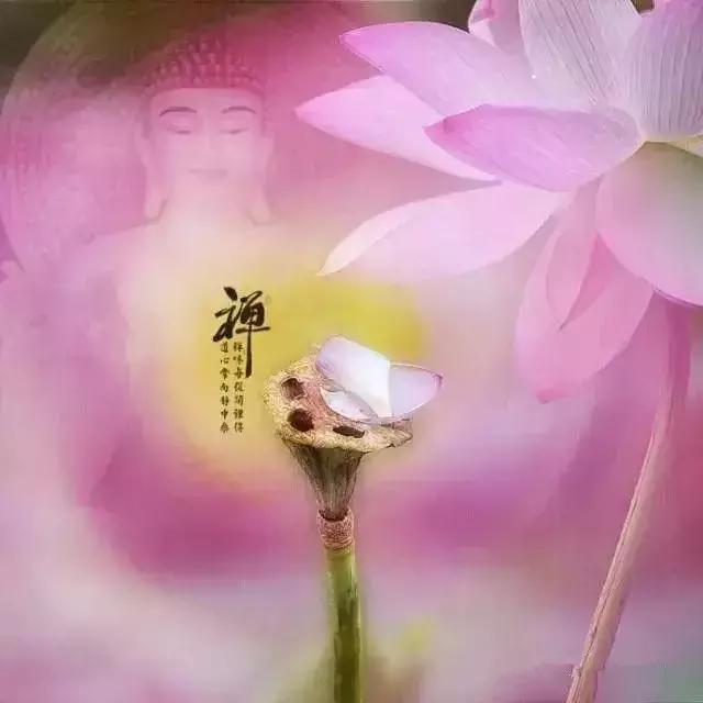 今日農曆四月十九，誦《妙法蓮花觀音菩薩》殊勝吉祥！ 如意安康！