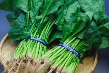 這5種食物是眼睛保護神，眼睛疲勞、乾澀就吃它們