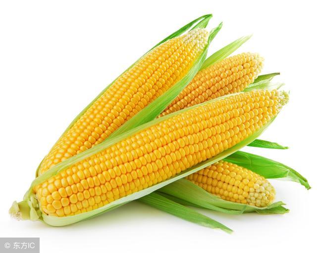 家長必知！ 想提高孩子記憶力，請讓孩子多吃這8種食物！