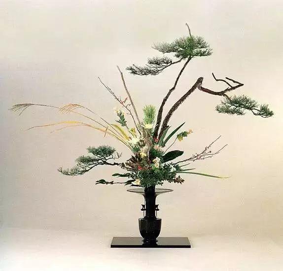 賞析｜日本花道之禪意氛圍