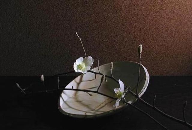 賞析｜日本花道之禪意氛圍