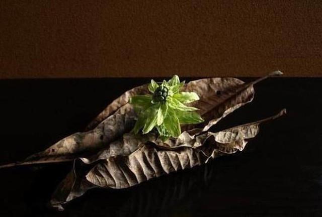 賞析｜日本花道之禪意氛圍