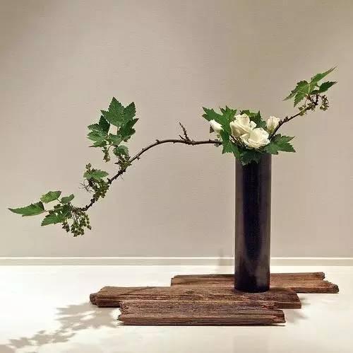 賞析｜日本花道之禪意氛圍