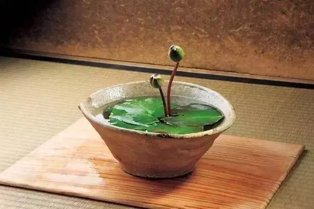 生活美學｜浮生一日花在野