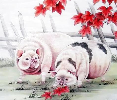 這2個屬相結婚後，夫妻和，孩子乖，一家子好運源源不斷！