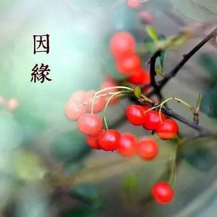 前世來生，因果輪迴！
