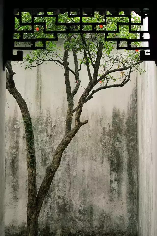 「圖文」竹盡有室，室欲幽！