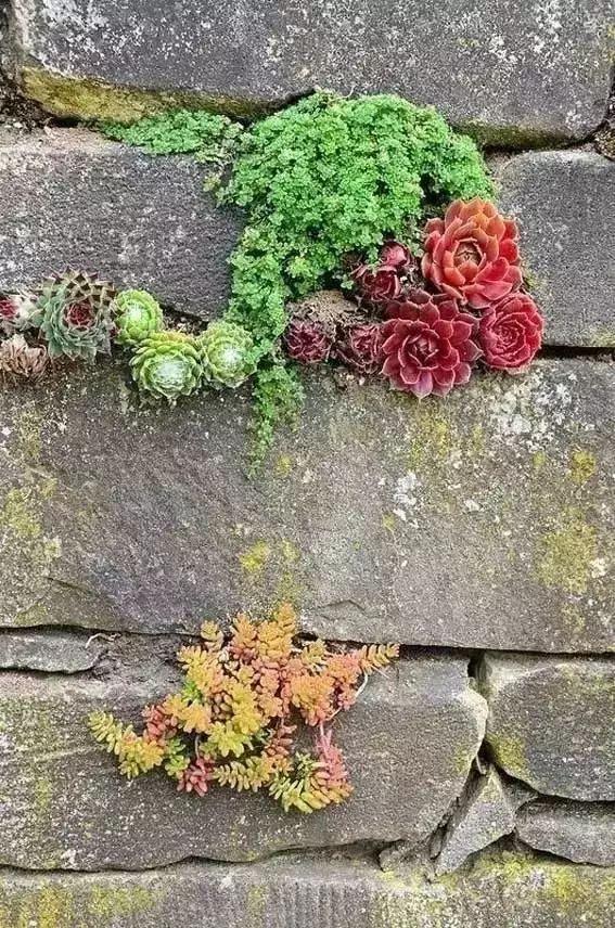 石牆