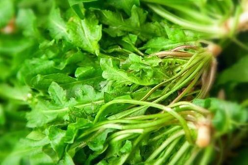 早起的鳥有蟲吃春意萌動人吃啥？