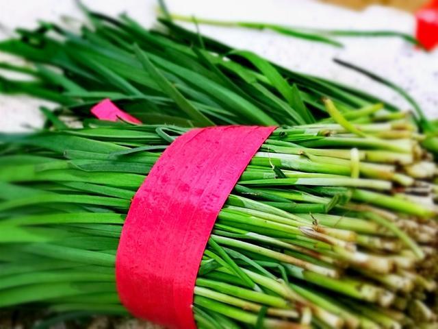 早起的鳥有蟲吃春意萌動人吃啥？