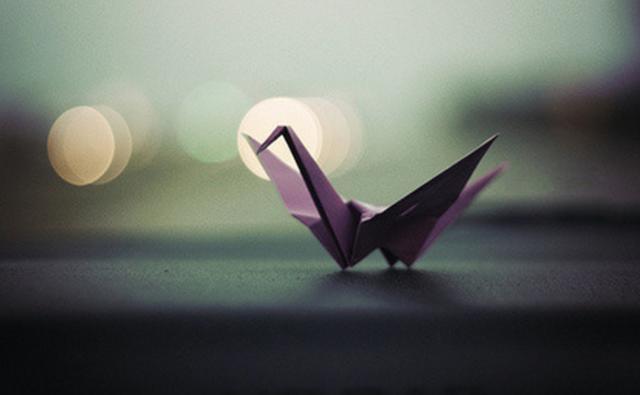 感情過去了便是消散了，一個情過而不留心的星座