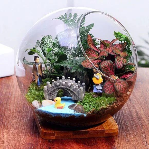 今年“流行”種草了，此“3種草”養盆裡，比花朵還好看！