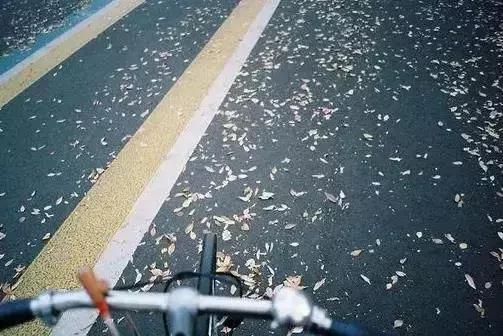 沒人扶的時候，自己站！