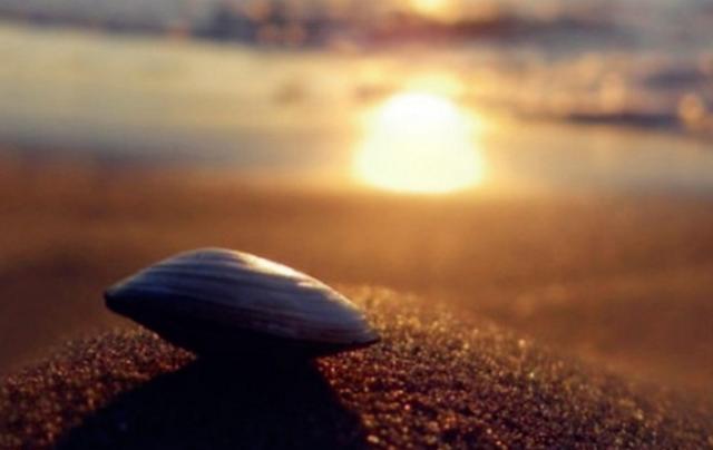 別低估了這個星座的感情吸附力