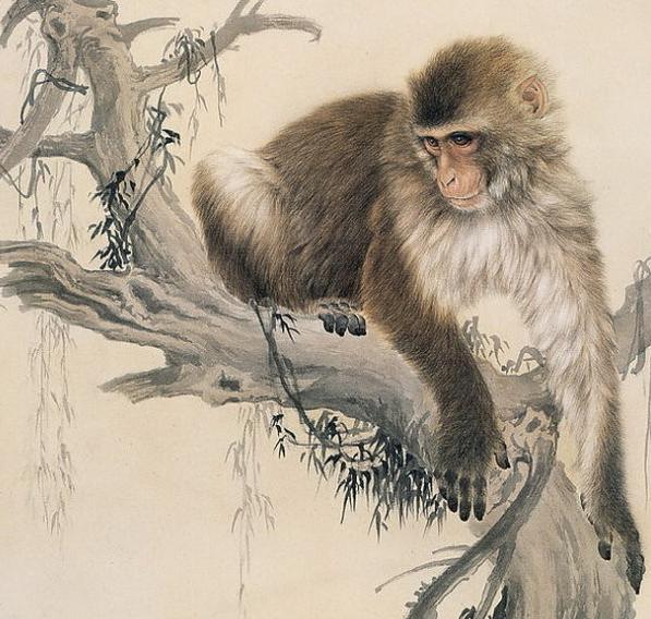 誰屬這6生肖就提前祝賀了！ 今天起財運連旺幾個月，衣食無憂