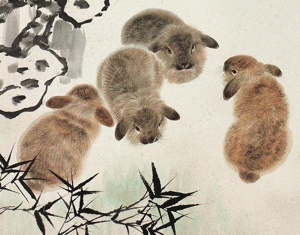 五大屬相2019年遇貴人來引路，好友來造橋，一路通往富貴