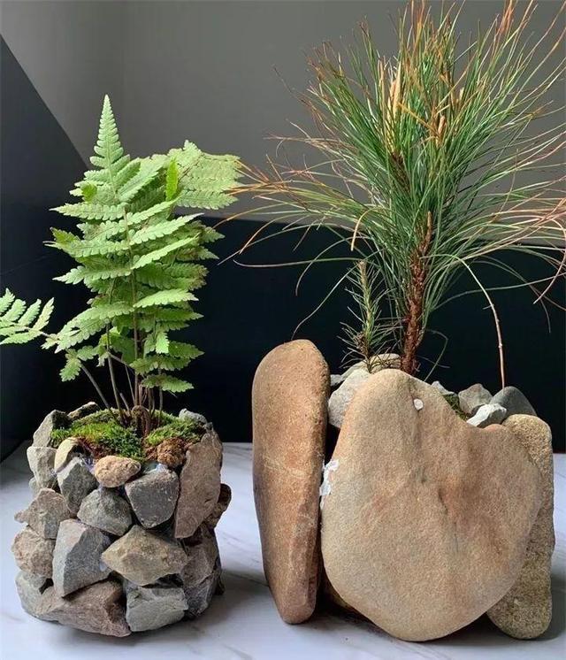路邊沒人要的石頭，被他做成花盆，種上花後堪比藝術品！