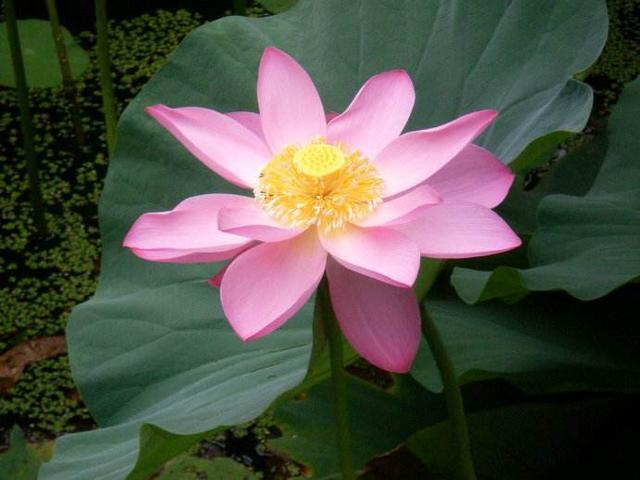 自重，才能贏得尊重；真誠，才能打動人心！