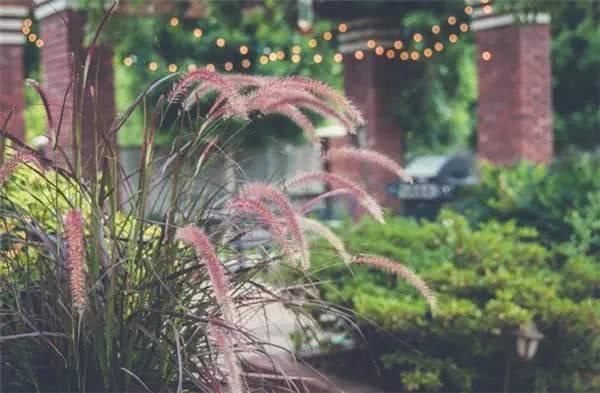 後來才明白什麼是愛情，並不是沒你不行！