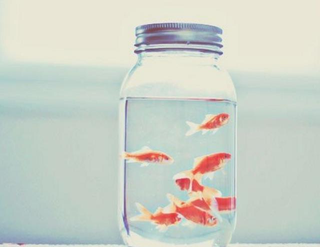 胃口可別太大，只有“細嚼慢嚥”才能吃定這些星座