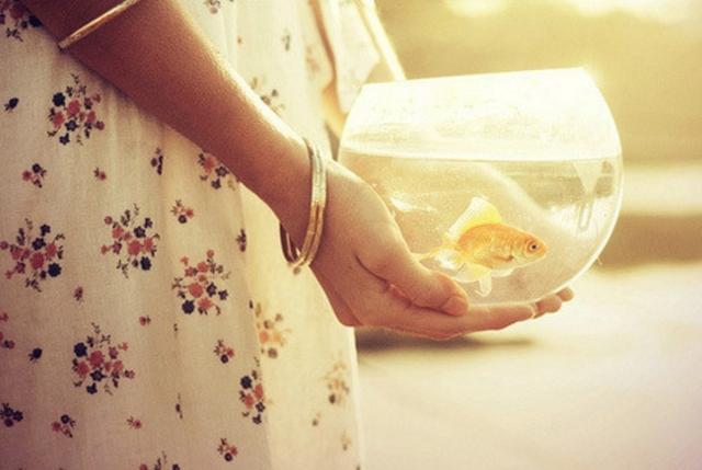 胃口可別太大，只有“細嚼慢嚥”才能吃定這些星座