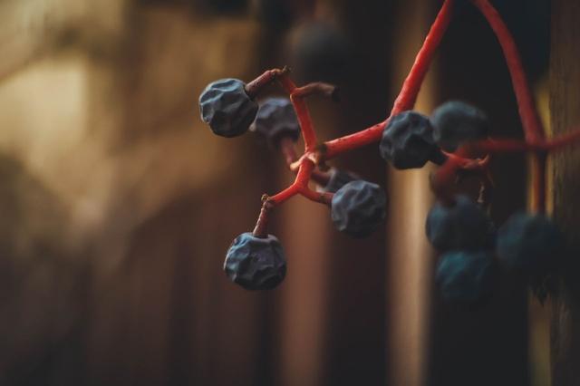 在每段關係中，都會自己決定去留的4個星座