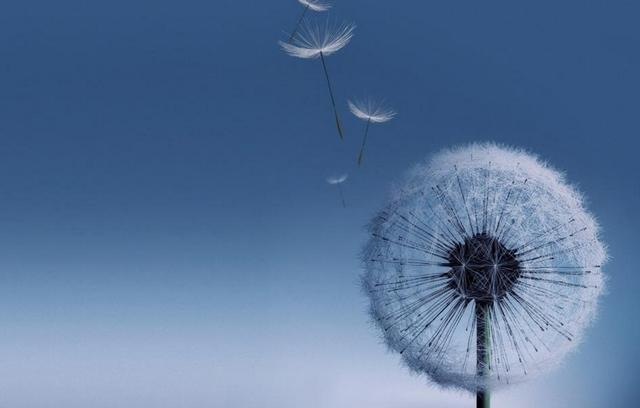 不是所有的人在放棄時都會心痛，例如這些星座