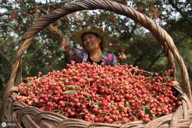 用它泡腳，遠離白髮困擾！