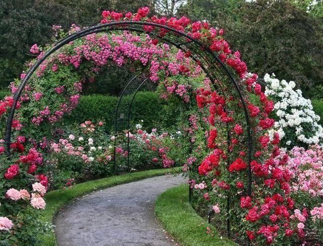 家裡光照不好，她爬房頂養花，建成人人羨慕的花園！