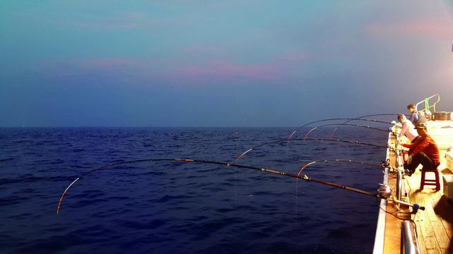 夜幕下，駛向大海的深處——韓國夜釣帶魚後的攻略總結
