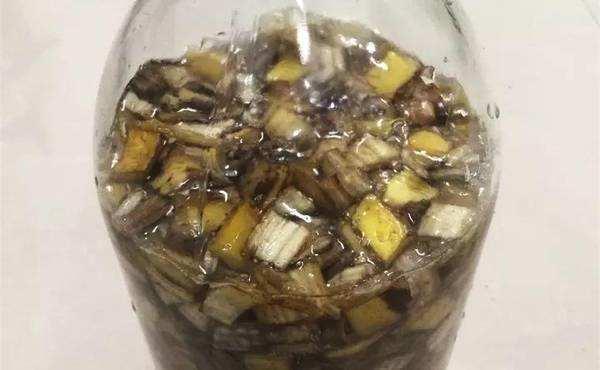 吃完香蕉留下皮，簡單幾步做成“養花肥”，給花用一點，蹭蹭長！