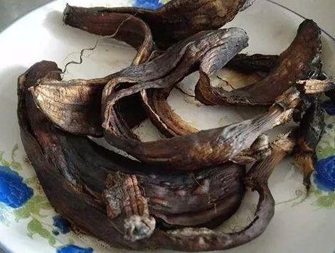 吃完香蕉留下皮，簡單幾步做成“養花肥”，給花用一點，蹭蹭長！