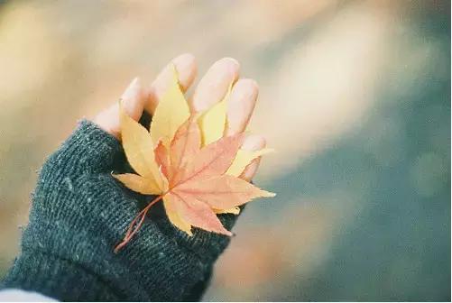 幹嘛生氣，你傻不傻？
