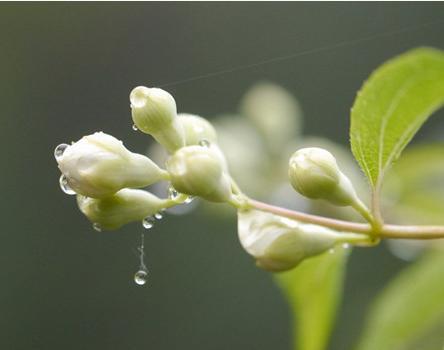 此3個生肖和屬虎人結婚是天衣無縫，越久越恩愛，不離不棄！