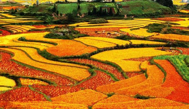中國農民的藝術傑作，了不起！