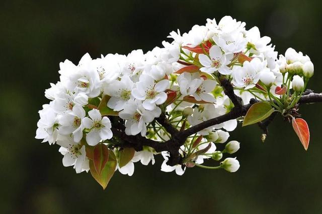 有一種修養叫:你若安好,我不打擾